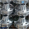 Stainless Steel Weld Neck Flange (F316Ti, F317L, F309H)